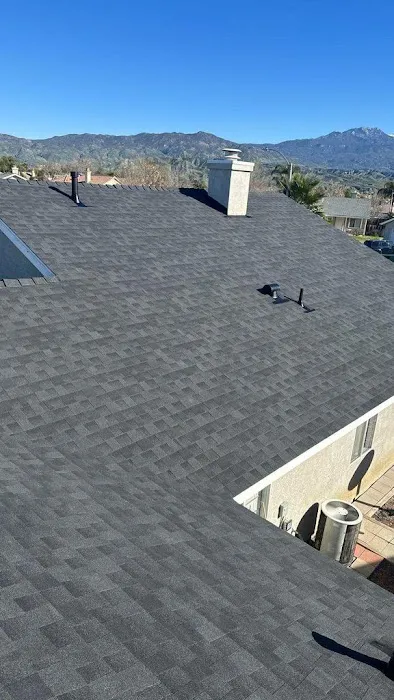 Next Door Roofing Picture 4