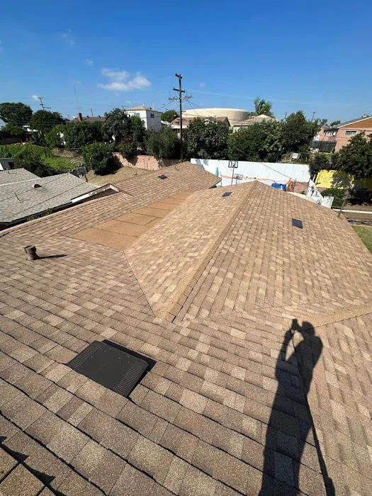 Skyline Energy Roofing Picture 1