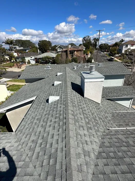 Skyline Energy Roofing Picture 4