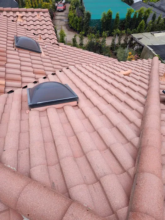 CANOVAS ROOFING INC Picture 1