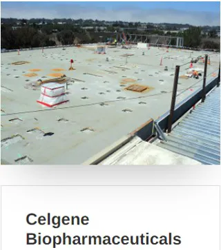 Arithane Foam Roofing Picture 4