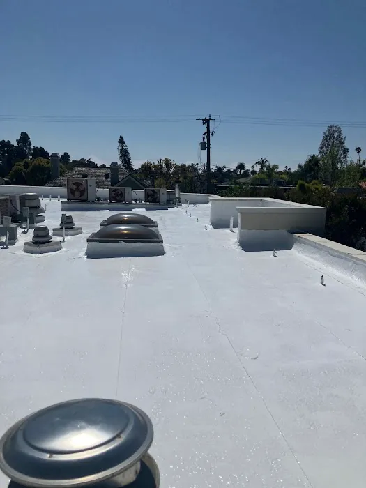 Sho Global Roofing Picture 1