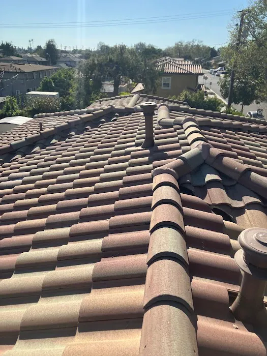 Sho Global Roofing Picture 4