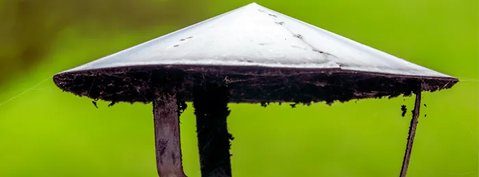 Solid Reach Roof & Gutter Picture 2