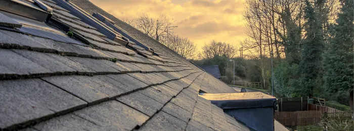 Solid Reach Roof & Gutter Picture 3