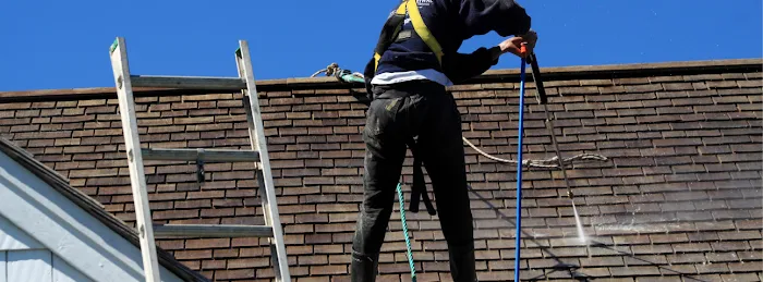 Ray & Sons Roof Repair Picture 4