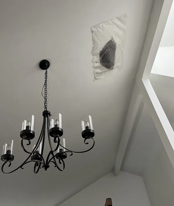 Roofing Standards Picture 7