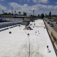 Pacific Single Ply Inc ico