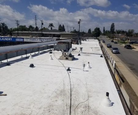 Pacific Single Ply Inc