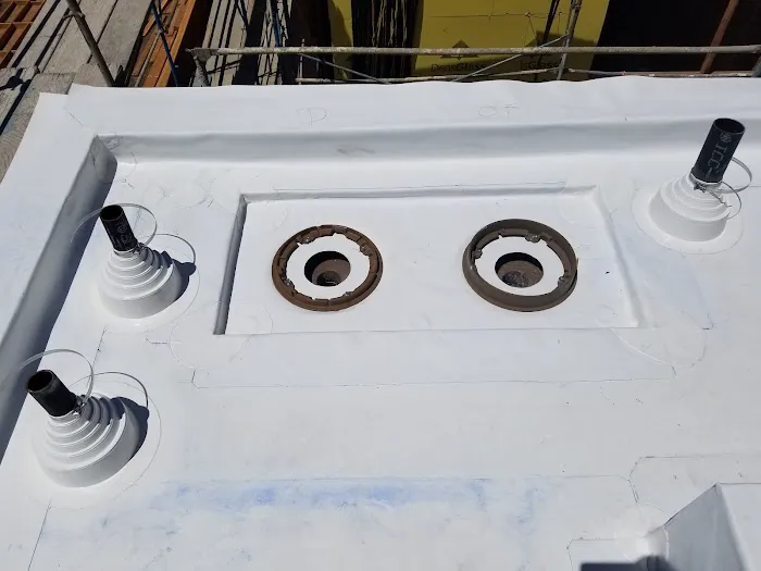 Pacific Single Ply Inc Picture 5