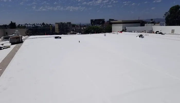 Pacific Single Ply Inc Picture 6