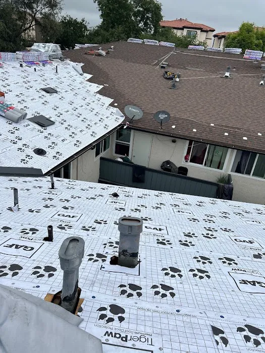 Roof Service Providers Picture 1