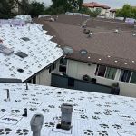 Roof Service Providers