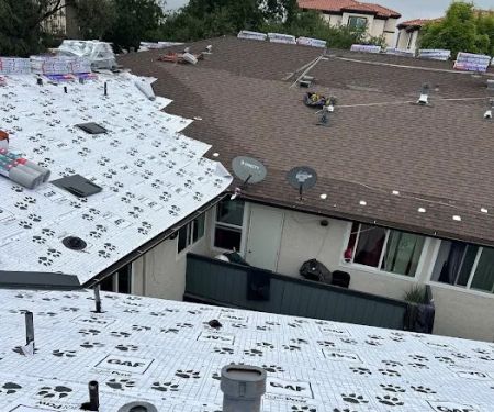 Roof Service Providers