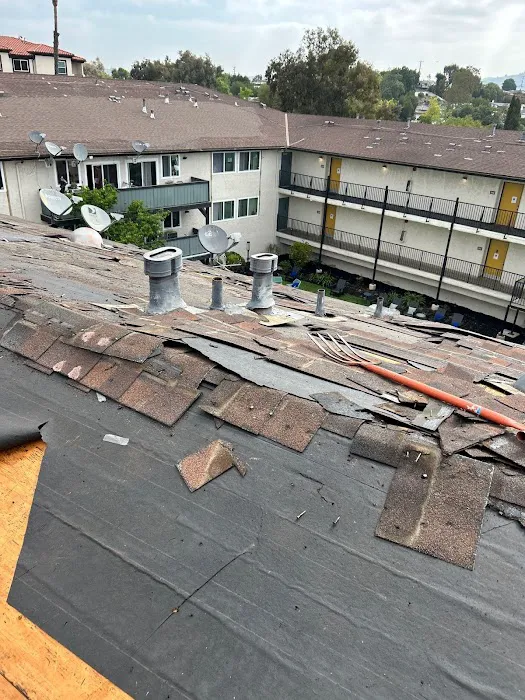 Roof Service Providers Picture 8