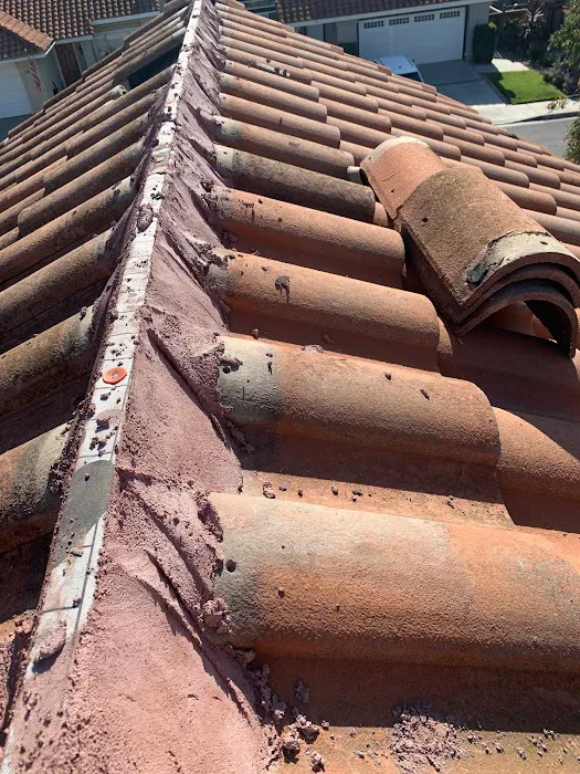 Roofing Innovations Picture 3