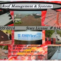 Roof Management & Systems ico
