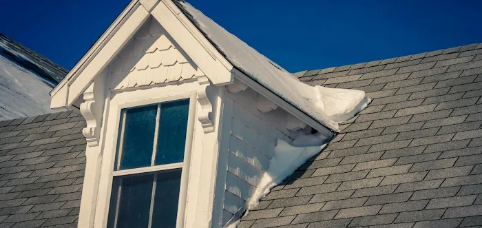 West Coast Dream Roofing Solutions Picture 1