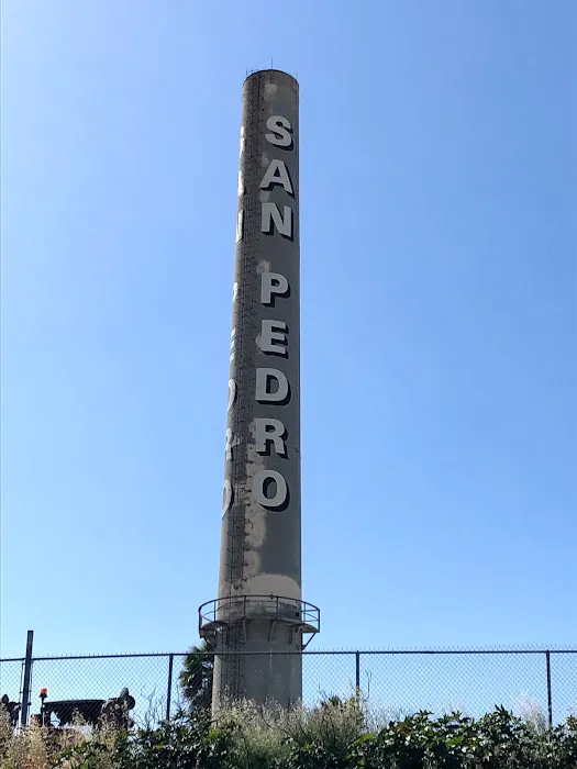 RESCUE ROOFER San Pedro Picture 1