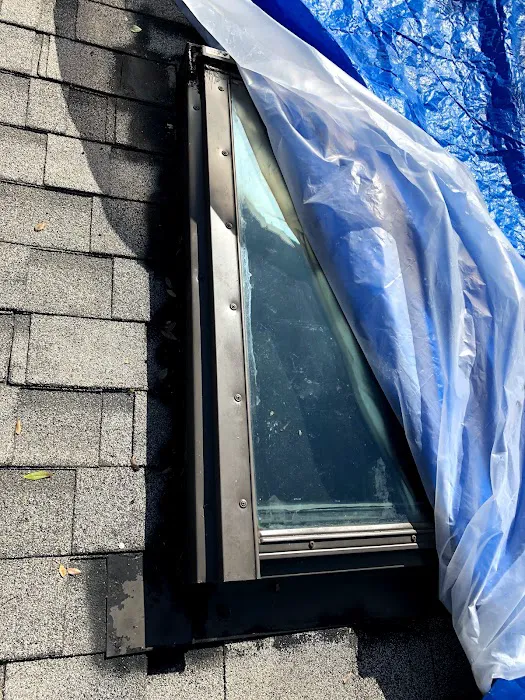 RESCUE ROOFER San Pedro Picture 3