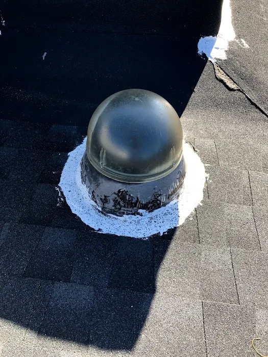 RESCUE ROOFER San Pedro Picture 5