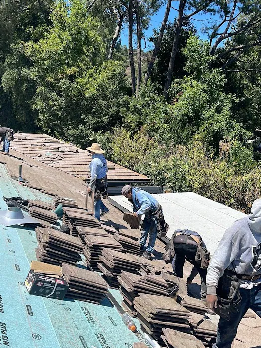 Roof Repair Specialist Picture 8