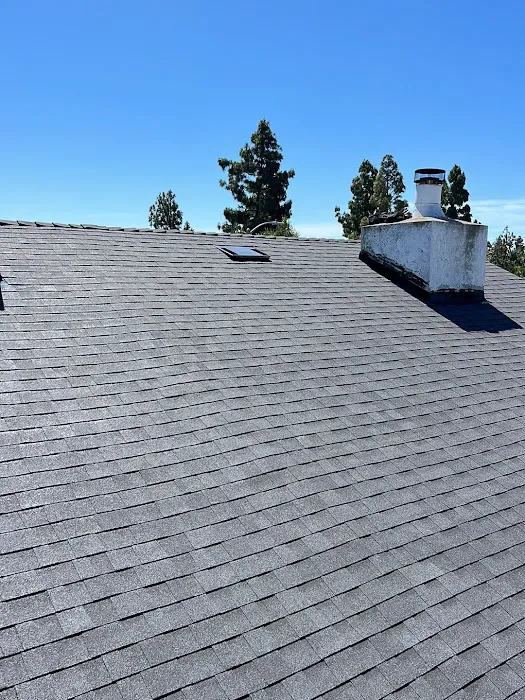 Roof Repair Specialist Picture 6