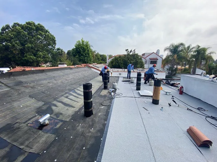 Roof Repair Specialist Picture 5