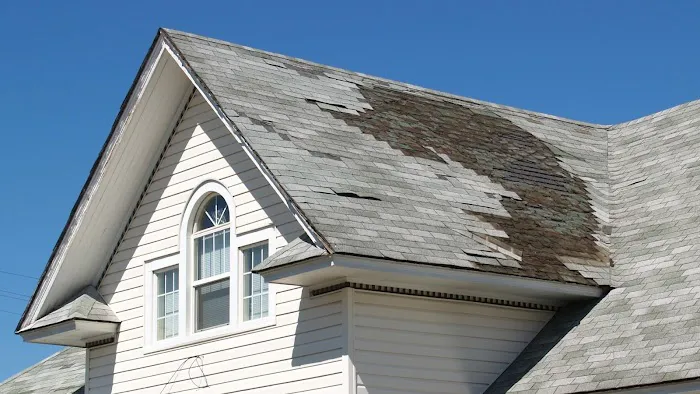 Trackguard Roofing Experts Picture 1