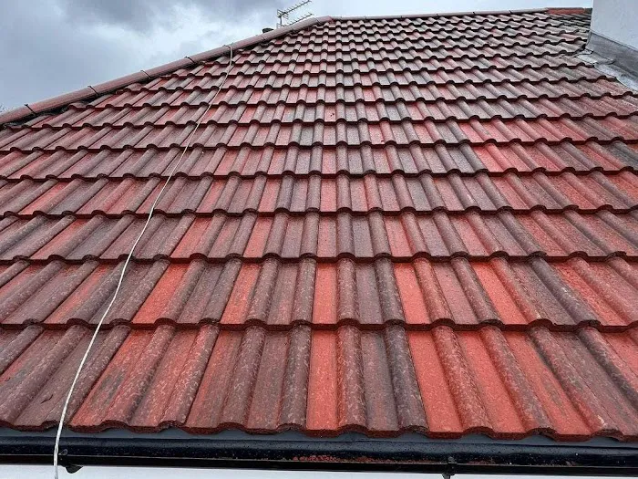 Trackguard Roofing Experts Picture 6