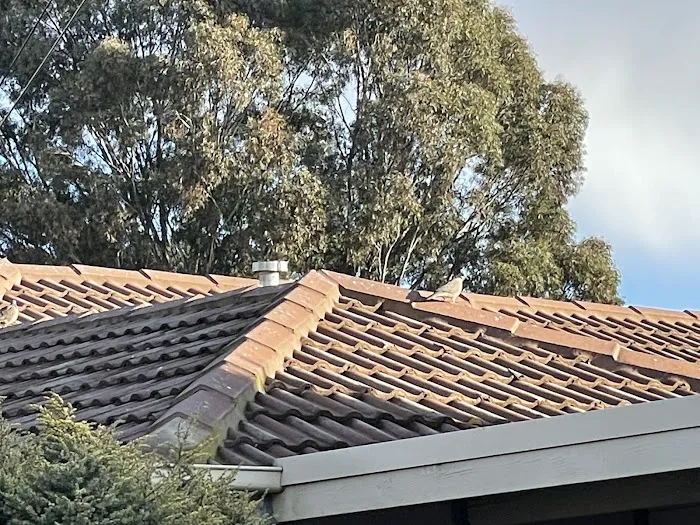 Trackguard Roofing Experts Picture 7