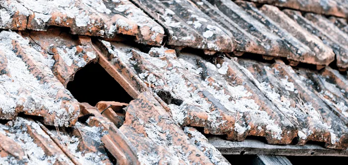 Trackguard Roofing Experts Picture 10