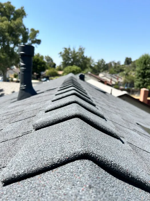 Top Roofing Services Picture 3