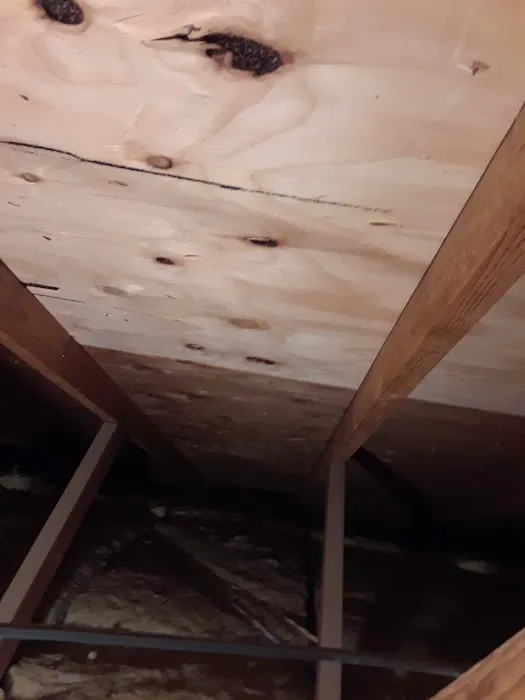 Troy Roofing Inc Picture 4