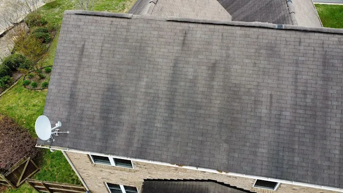 Mighty Roofing Picture 3