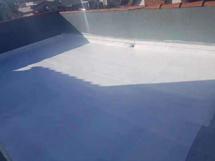 Economy roofing Picture 1