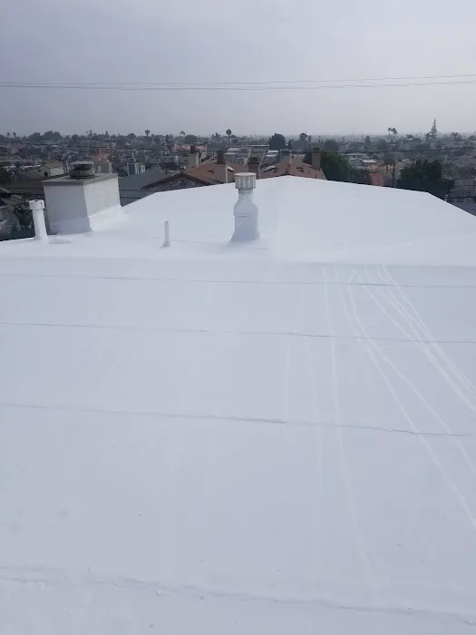 Economy roofing Picture 3