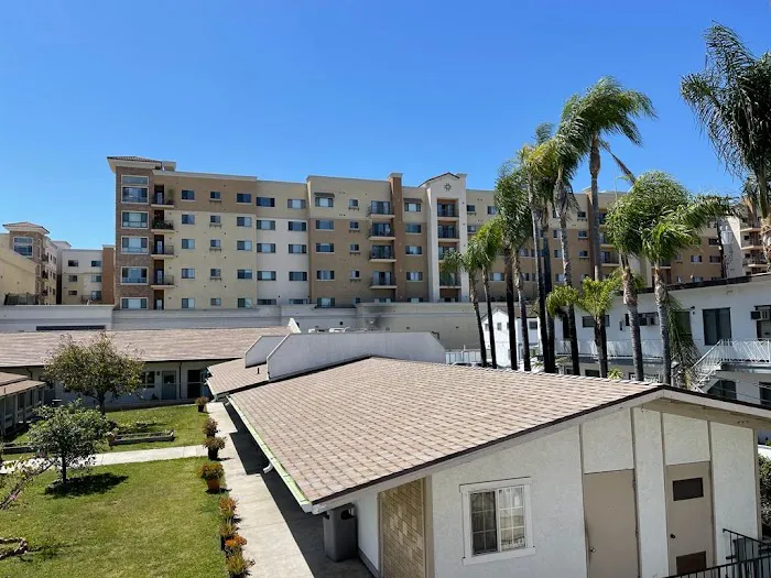 Timeless Construction Picture 8