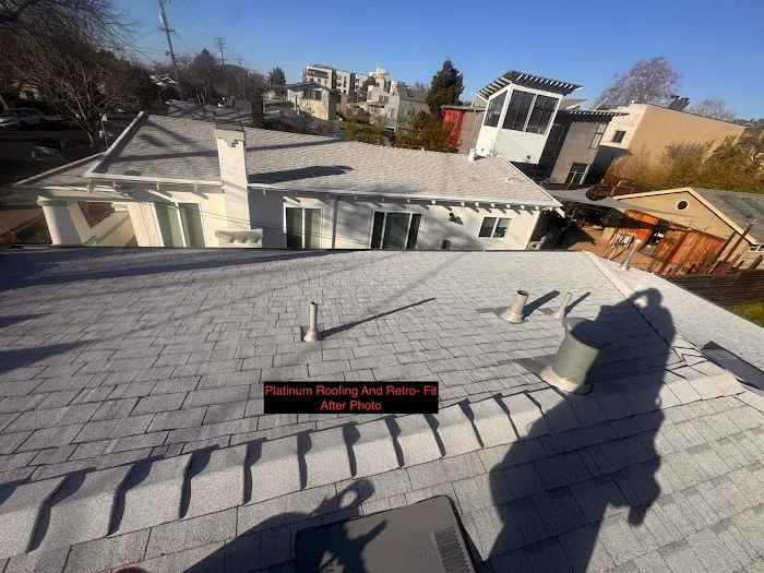 Platinum Roofing and Retro-Fit Picture 2