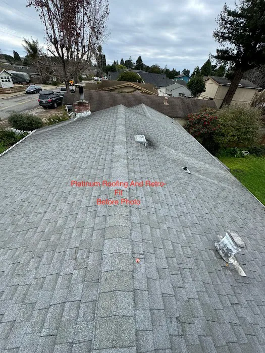 Platinum Roofing and Retro-Fit Picture 4