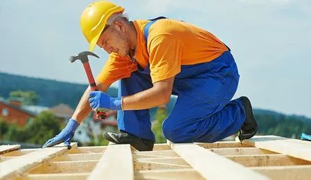 LYJ Roofing Picture 2