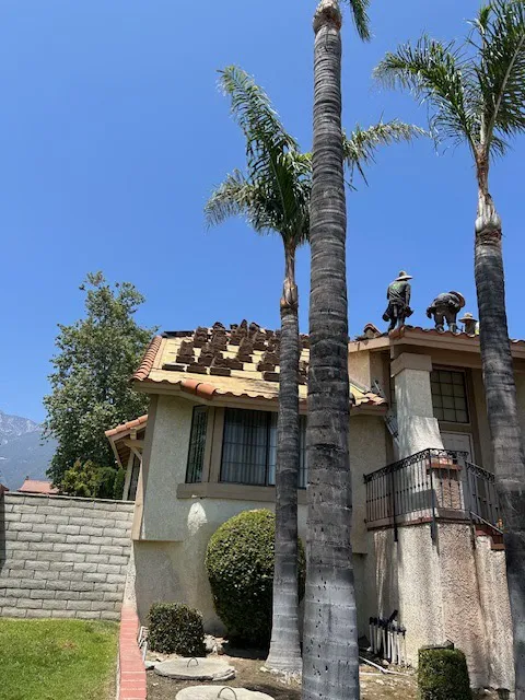 Paragon Roofing Inc Picture 4