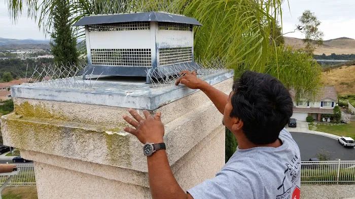 Orange County Roof Inspection Picture 9