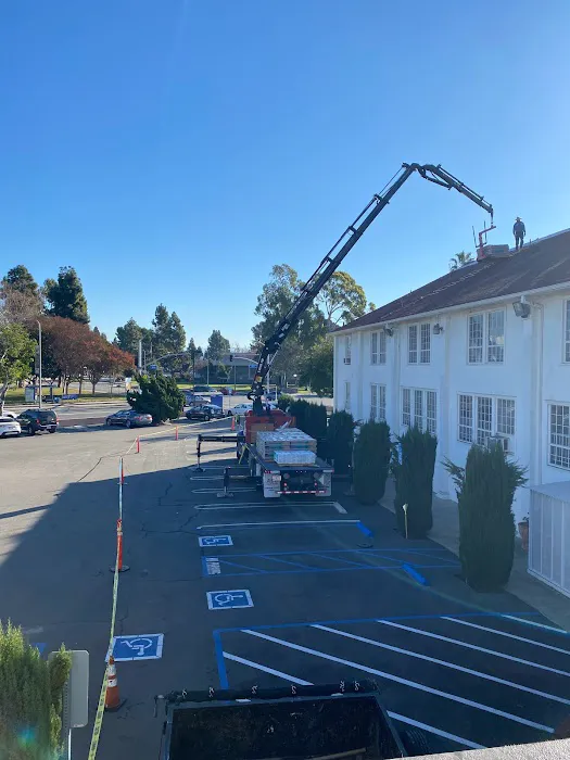 TG Roofing and Roof Removal Picture 8