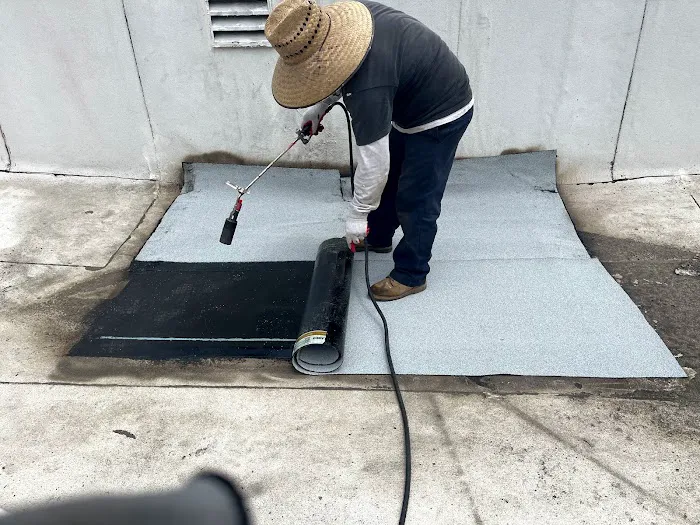 H roof repair Picture 5