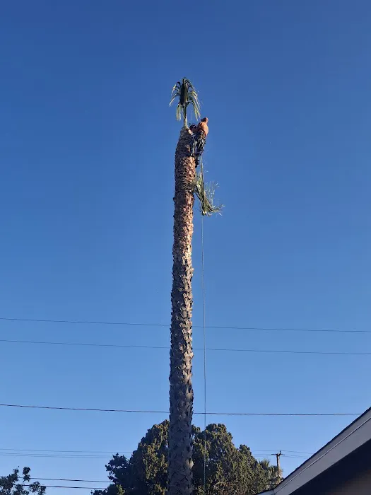 Top Roofing Solution Contractor Santa Ana Picture 2