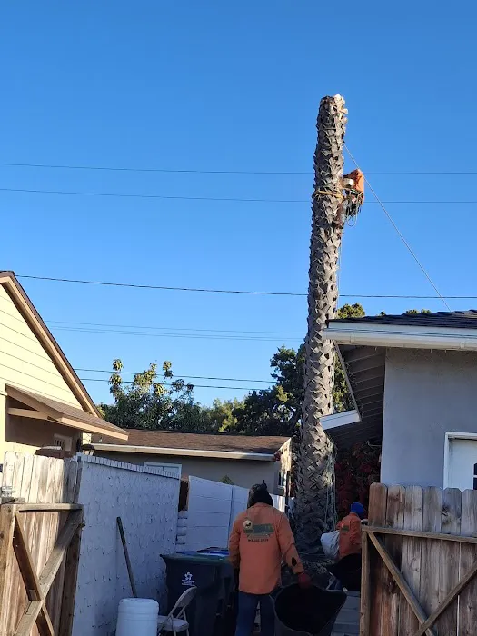 Top Roofing Solution Contractor Santa Ana Picture 10