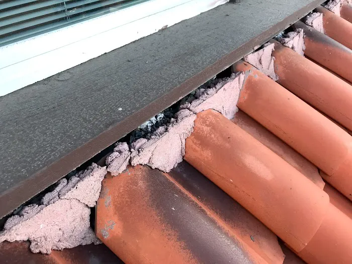 RESCUE ROOFER - Orange Picture 2