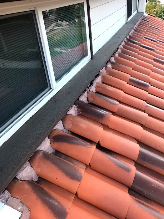 RESCUE ROOFER - Orange Picture 10