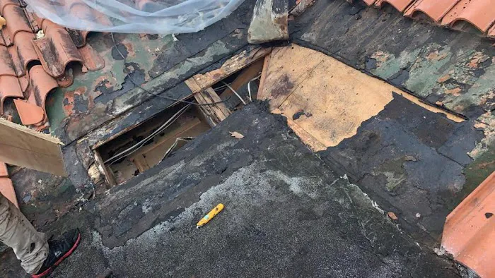 Magical Roofers Picture 3